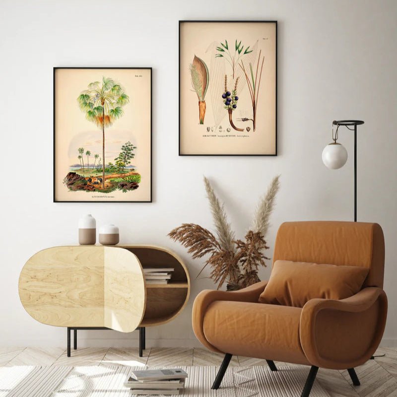 Kangaroo Palm Framed Art Print - 50x70 3505 - Uneeka